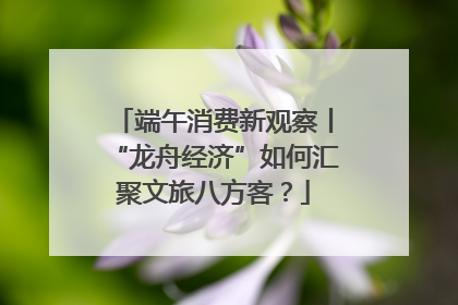 端午消费新观察丨“龙舟经济”如何汇聚文旅八方客？