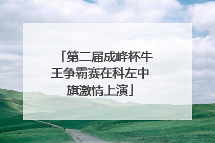 第二届成峰杯牛王争霸赛在科左中旗激情上演