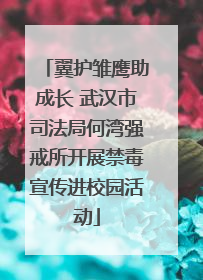 翼护雏鹰助成长 武汉市司法局何湾强戒所开展禁毒宣传进校园活动
