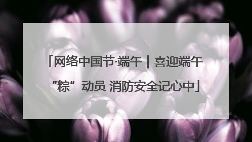网络中国节·端午｜喜迎端午“粽”动员 消防安全记心中