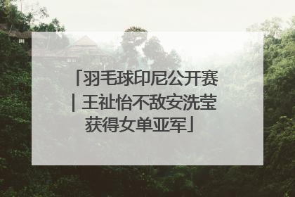 羽毛球印尼公开赛｜王祉怡不敌安洗莹 获得女单亚军