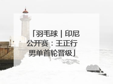 羽毛球｜印尼公开赛：王正行男单首轮晋级