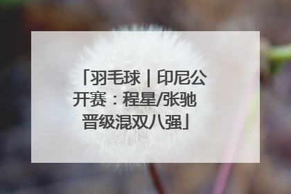 羽毛球｜印尼公开赛：程星/张驰晋级混双八强