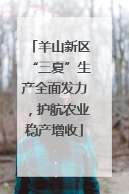 羊山新区“三夏”生产全面发力，护航农业稳产增收