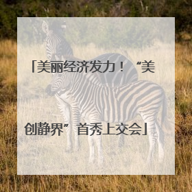 美丽经济发力！“美创静界”首秀上交会