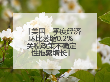 美国一季度经济环比萎缩0.2% 关税政策不确定性拖累增长