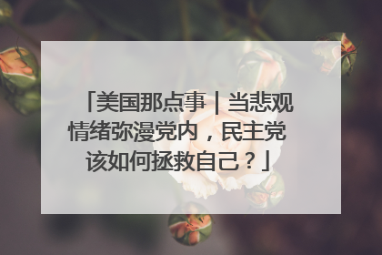 美国那点事｜当悲观情绪弥漫党内，民主党该如何拯救自己？