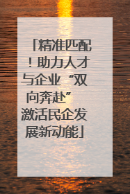 精准匹配！助力人才与企业“双向奔赴” 激活民企发展新动能