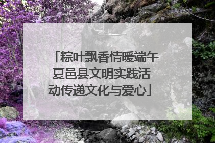 粽叶飘香情暖端午 夏邑县文明实践活动传递文化与爱心