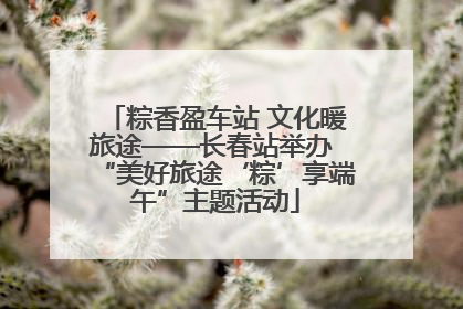 粽香盈车站 文化暖旅途——长春站举办 “美好旅途‘粽’享端午”主题活动