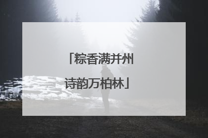 粽香满并州 诗韵万柏林