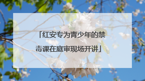 红安专为青少年的禁毒课在庭审现场开讲