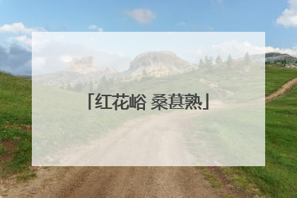 红花峪 桑葚熟