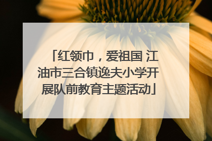 红领巾，爱祖国 江油市三合镇逸夫小学开展队前教育主题活动