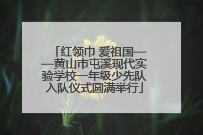 红领巾 爱祖国——黄山市屯溪现代实验学校一年级少先队入队仪式圆满举行
