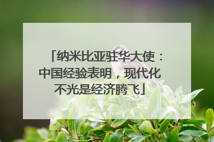 纳米比亚驻华大使：中国经验表明，现代化不光是经济腾飞