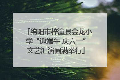 绵阳市梓潼县金龙小学“迎端午 庆六一”文艺汇演圆满举行