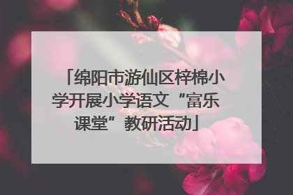 绵阳市游仙区梓棉小学开展小学语文“富乐课堂”教研活动