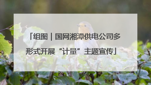 组图｜国网湘潭供电公司多形式开展“计量”主题宣传