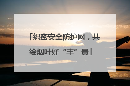 织密安全防护网，共绘烟叶好“丰”景