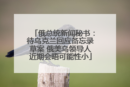 俄总统新闻秘书：待乌克兰回应备忘录草案 俄美乌领导人近期会晤可能性小