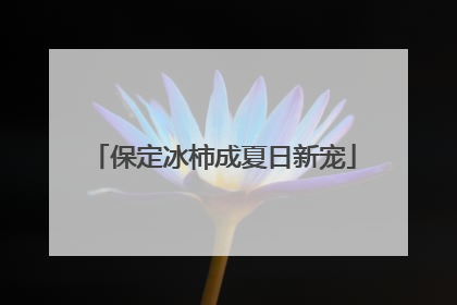 保定冰柿成夏日新宠