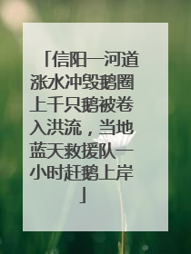 信阳一河道涨水冲毁鹅圈上千只鹅被卷入洪流，当地蓝天救援队一小时赶鹅上岸