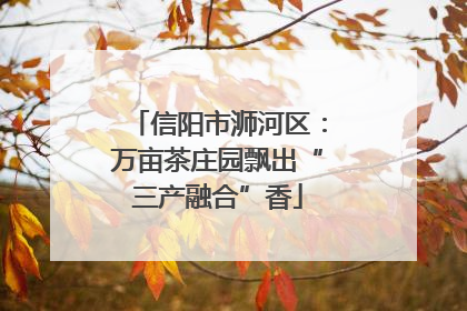 信阳市浉河区：万亩茶庄园飘出“三产融合”香