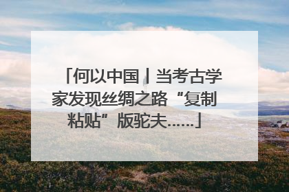 何以中国丨当考古学家发现丝绸之路“复制粘贴”版驼夫……