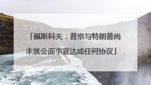 佩斯科夫：普京与特朗普尚未就会面事宜达成任何协议