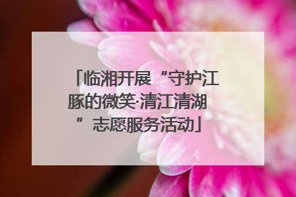 临湘开展“守护江豚的微笑·清江清湖”志愿服务活动