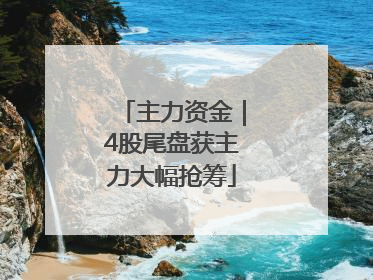 主力资金｜4股尾盘获主力大幅抢筹