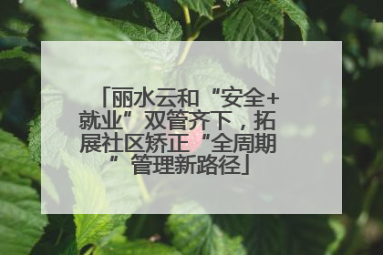 丽水云和“安全+就业”双管齐下，拓展社区矫正“全周期”管理新路径