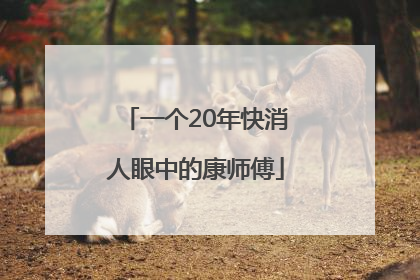 一个20年快消人眼中的康师傅