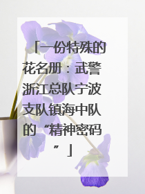 一份特殊的花名册：武警浙江总队宁波支队镇海中队的“精神密码”