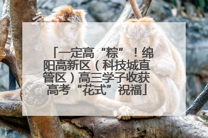一定高“粽”！绵阳高新区（科技城直管区）高三学子收获高考“花式”祝福