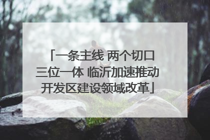 一条主线 两个切口 三位一体 临沂加速推动开发区建设领域改革