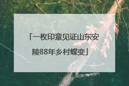 一枚印章见证山东安陵88年乡村蝶变