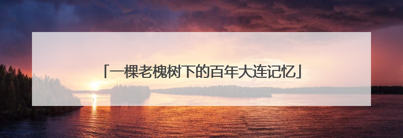 一棵老槐树下的百年大连记忆