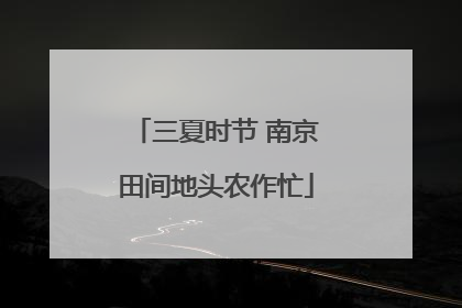 三夏时节 南京田间地头农作忙