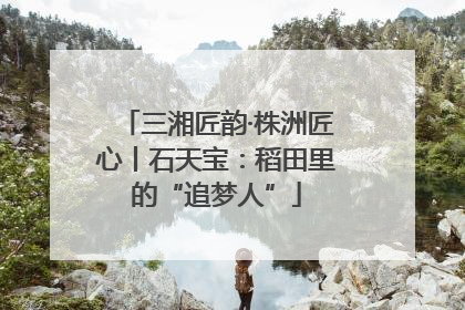 三湘匠韵·株洲匠心丨石天宝：稻田里的“追梦人”