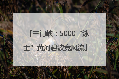 三门峡：5000“泳士”黄河碧波竞风流