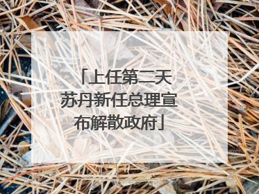 上任第二天 苏丹新任总理宣布解散政府