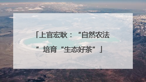 上官宏耿：“自然农法”培育“生态好茶”