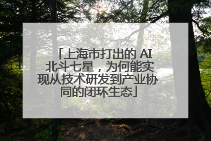 上海市打出的 AI 北斗七星，为何能实现从技术研发到产业协同的闭环生态