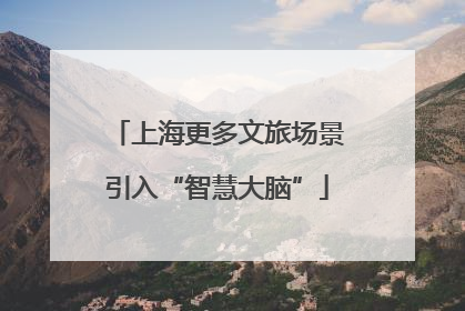 上海更多文旅场景引入“智慧大脑”