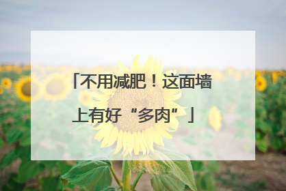 不用减肥！这面墙上有好“多肉”