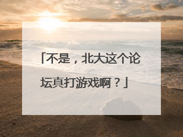 不是，北大这个论坛真打游戏啊？