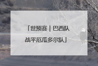 世预赛｜巴西队战平厄瓜多尔队