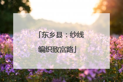 东乡县：纱线编织致富路